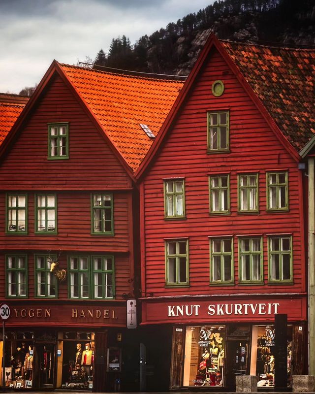 挪威布呂根壯觀的色彩繽紛的房屋