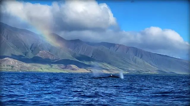 Maui, the least recommended island in Hawaii
