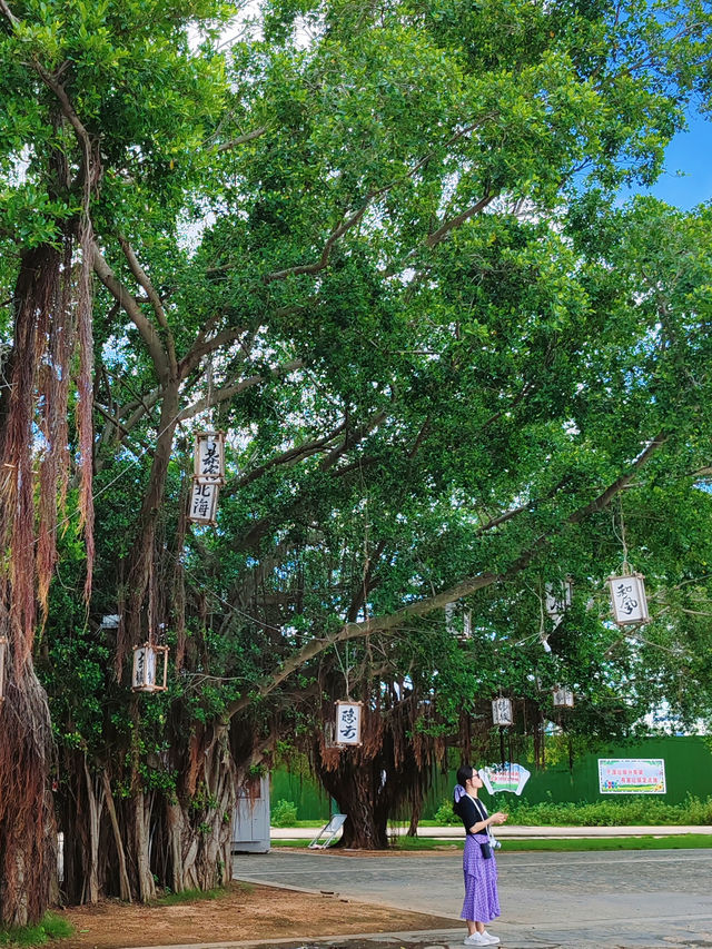 春節出遊必看去北海高德老街必知的件事兒