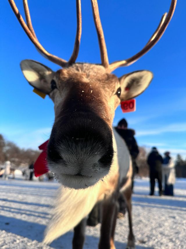 千萬別來雪嶺了｜來了就不想走了！