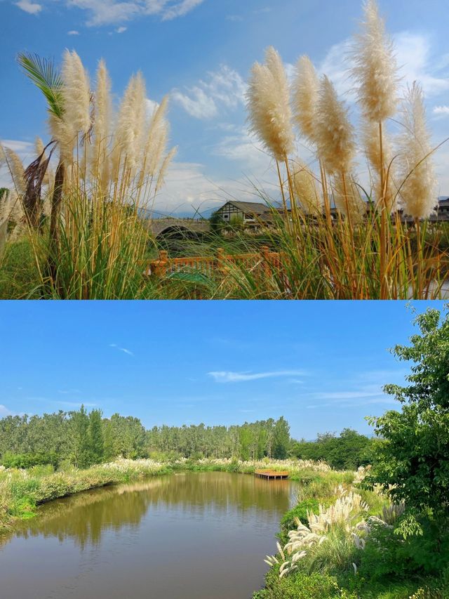 宮騎駿的海景區真的太美絕了，西昌-最美小漁村