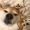 Bell_Olivia_54