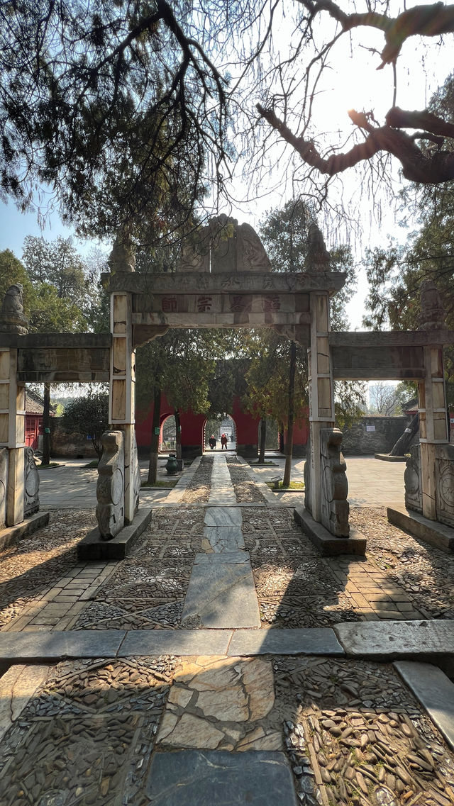 臥龍崗