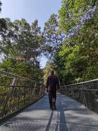 健康步道雲海線：廈門天竺岩寺至世紀和平園林