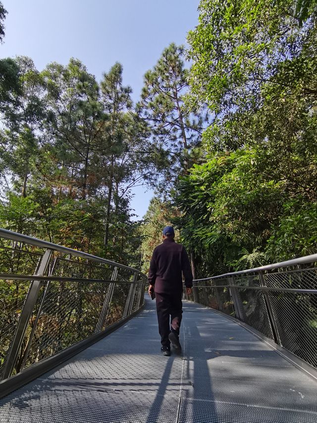 健康步道雲海線：廈門天竺岩寺至世紀和平園林