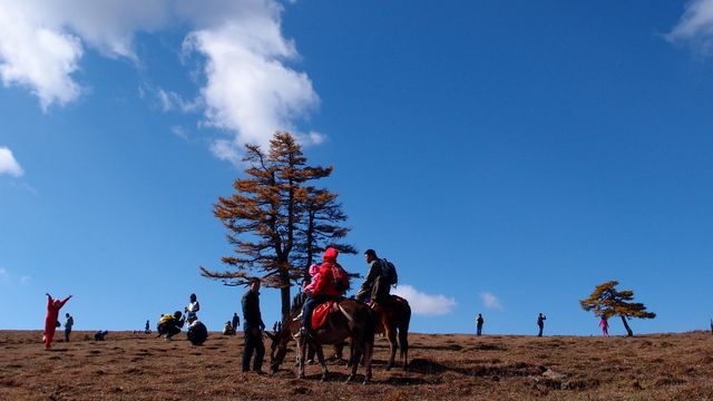 國慶芦芽山 草原+險峰 一處風景兩種風情