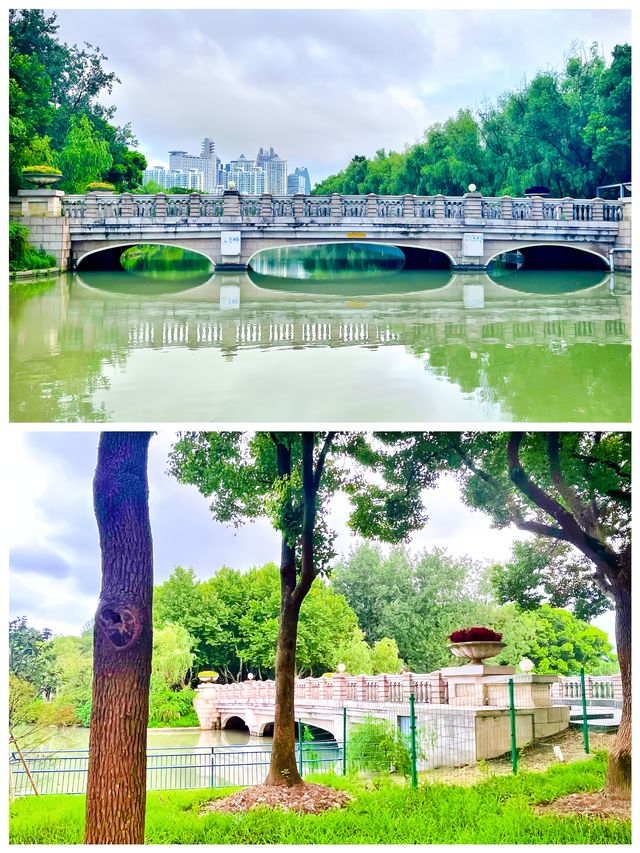 今夏，世紀公園「芳花園」卸下一千米的圍牆，與周邊街區融為一體！