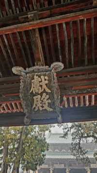 雪中晉祠的小確幸