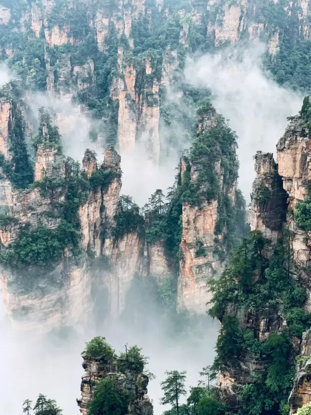 Behold! A 5-Day Travel Guide to Exploring the Scenic Zhangjiajie.