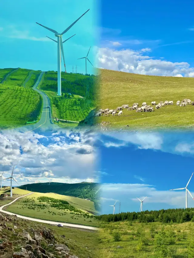 Zhangjiakou's Zhangbei Grassland Sky Road truly lives up to its reputation