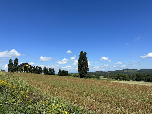 二刷北海道之夏