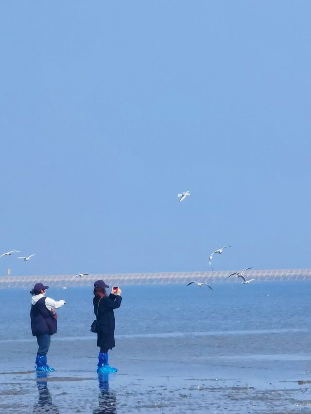 天津濱海 東疆親海公園