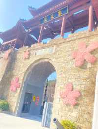 武漢清涼寨3200餘畝野櫻花競相綻放