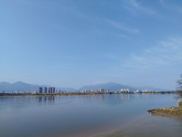 福州沙灘公園賞花行