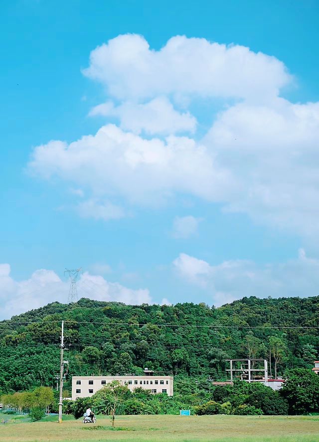 廣州地鐵可達好玩人少大草坪水庫可露營玩水