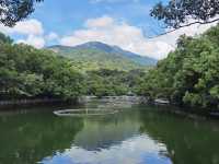 羅浮山飛雲頂，翻山越嶺只為不一樣的風景