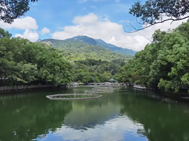 ภูเขาหลัวฝูมีจุดสูงสุดที่ยอดเขาเฟยหยุน ซึ่งต้องข้ามภูเขาและข้ามเทือกเขาเพื่อทิวทัศน์ที่ไม่เหมือนใคร