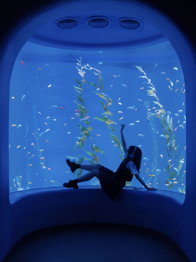 深圳海洋館|掉入 藍色夢境🫧