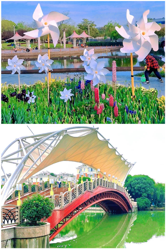地鐵直達杭州這個公園開著漂亮的花