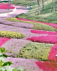 深圳女娲海濱公園/赴一場“花”“海”之約