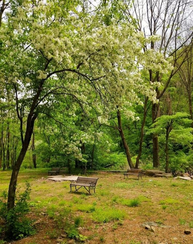 邂逅猴石森林公園，開啟一場與自然的親密之旅！