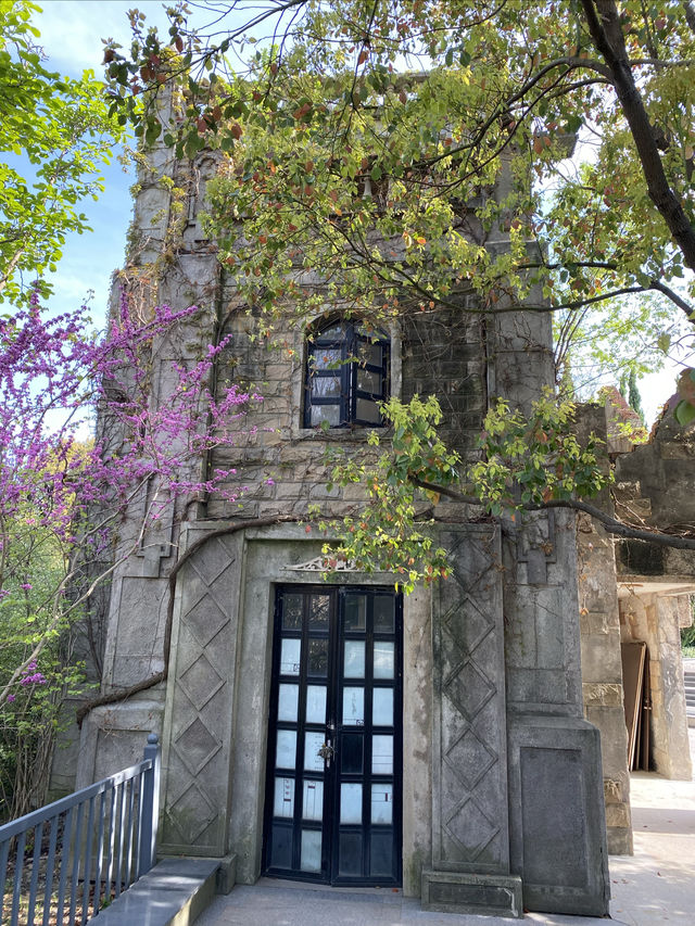 奉浦四季生態園，家門口的免費景點