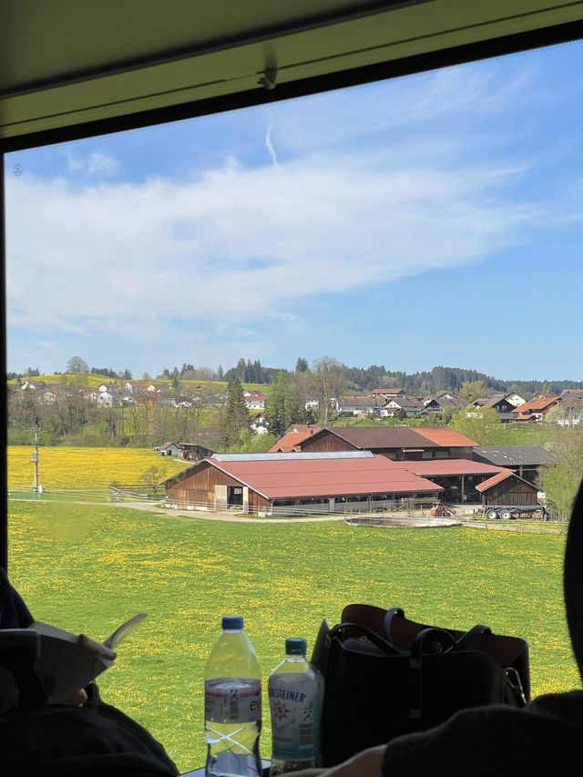 當你春天在德國坐火車就會看到的景象