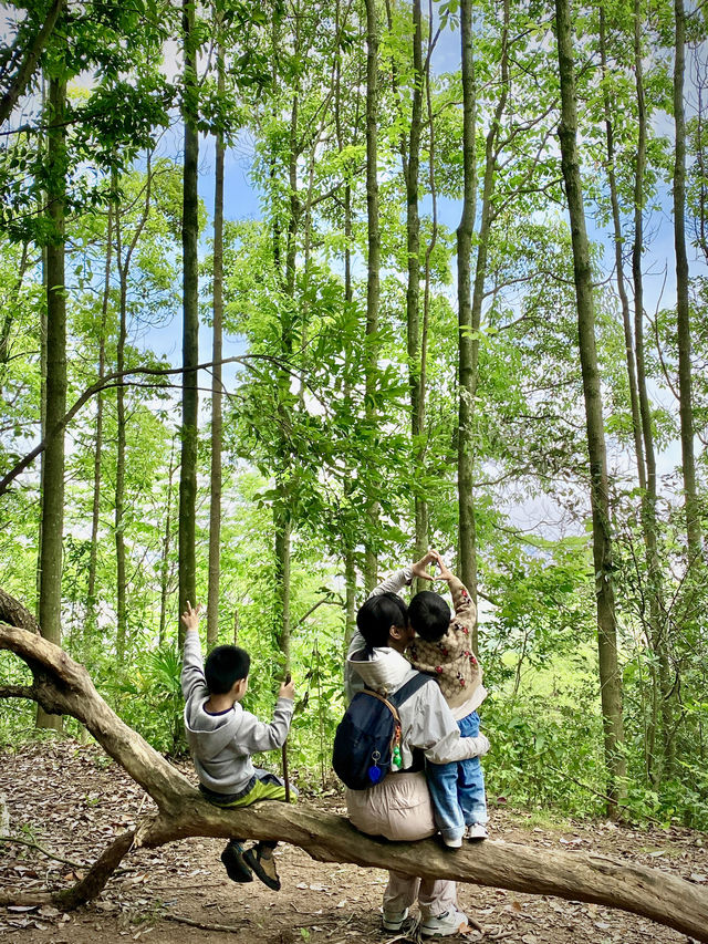 成都1h，穿越森林之門感受春和景明