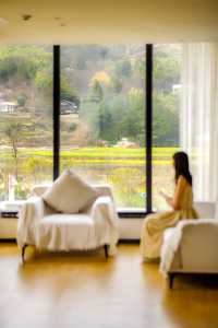 張家界探秘 | 近距離森林公園的超值民宿體驗