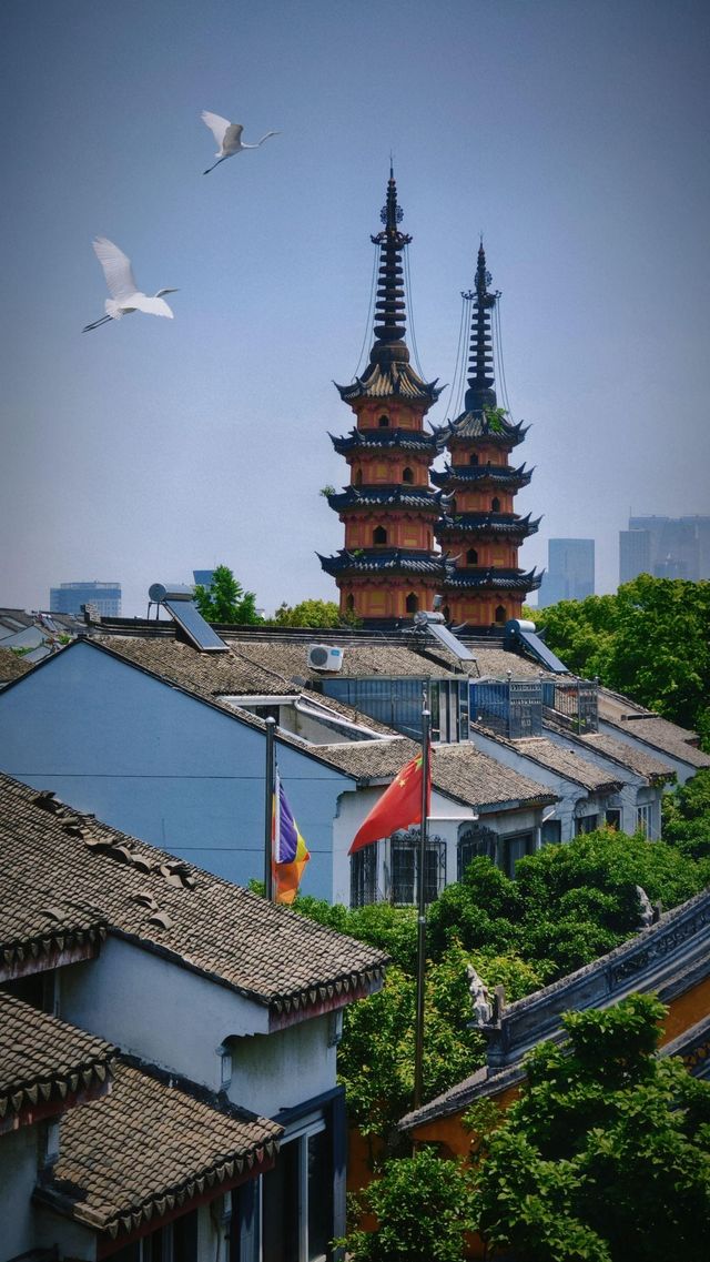 為了拍這雙塔我特意去了一趟蘇州