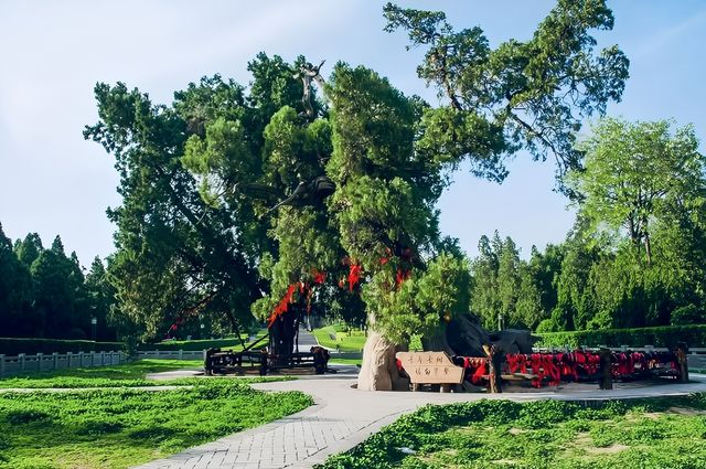 反向旅遊之運城