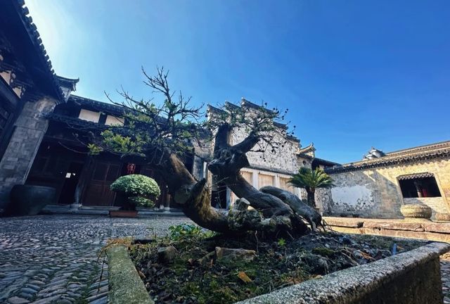 救命！姐妹們！卢宅，你們必須知道！