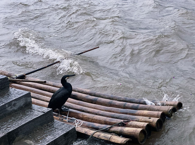 Guilin's 20 RMB Scenery 💴  Guilin's 20 RMB Scenery 💴