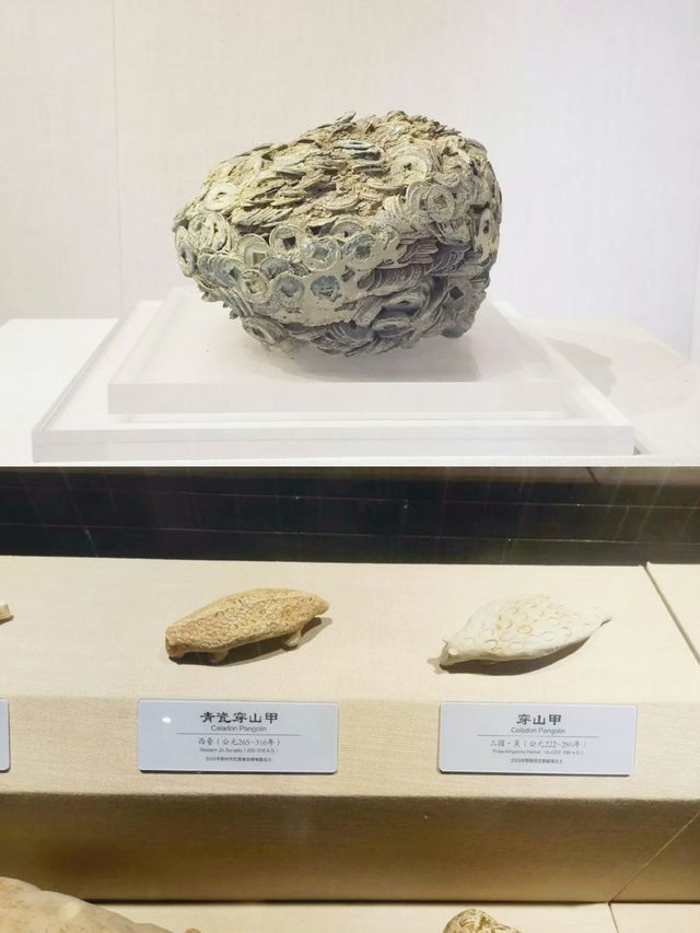 鄂州博物館,尋東吳故都的歷史印記 鄂州博物館,尋東吳故都的歷史印記