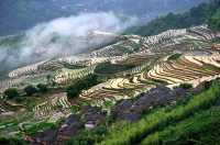 高山雲際梯田，如詩如畫是念山