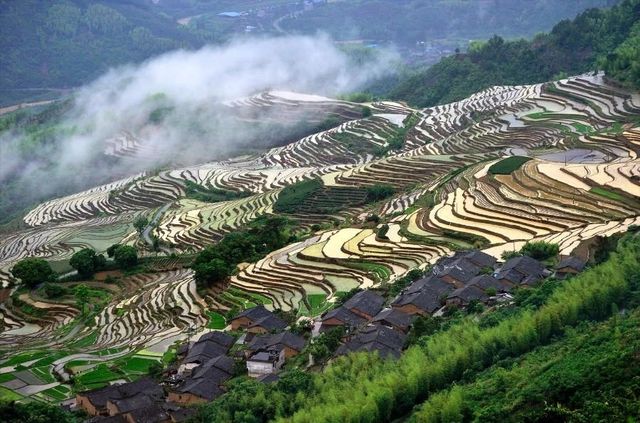 高山雲際梯田，如詩如畫是念山