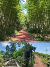 夏天就是要玩水呀人少景美露營地