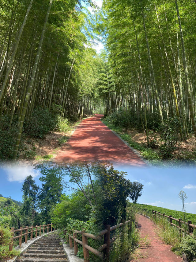 夏天就是要玩水呀人少景美露營地