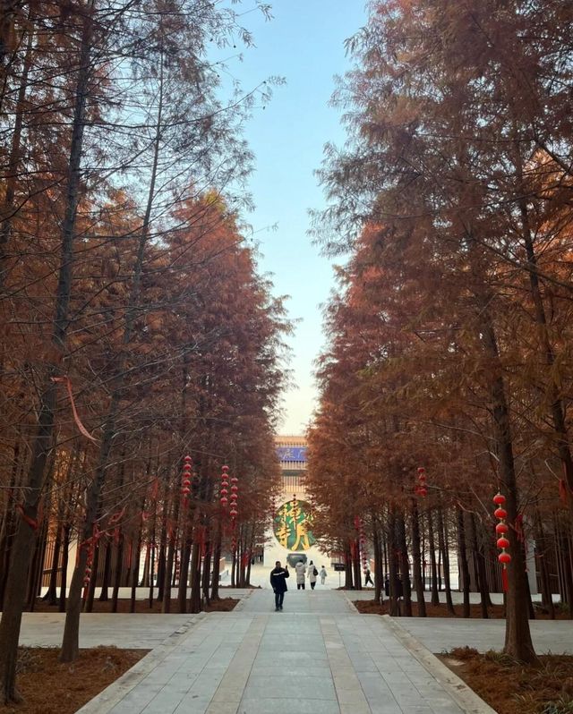 徐州旅遊景點攻略