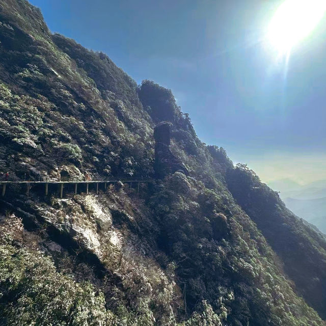 【江西】遊覽羊獅慕，雲海山頂一覽無遺