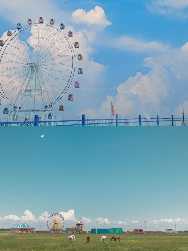 20℃的草原也太美了吧——張北大草原
