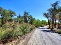 自駕139胡楊公路，深度感受南疆秘境