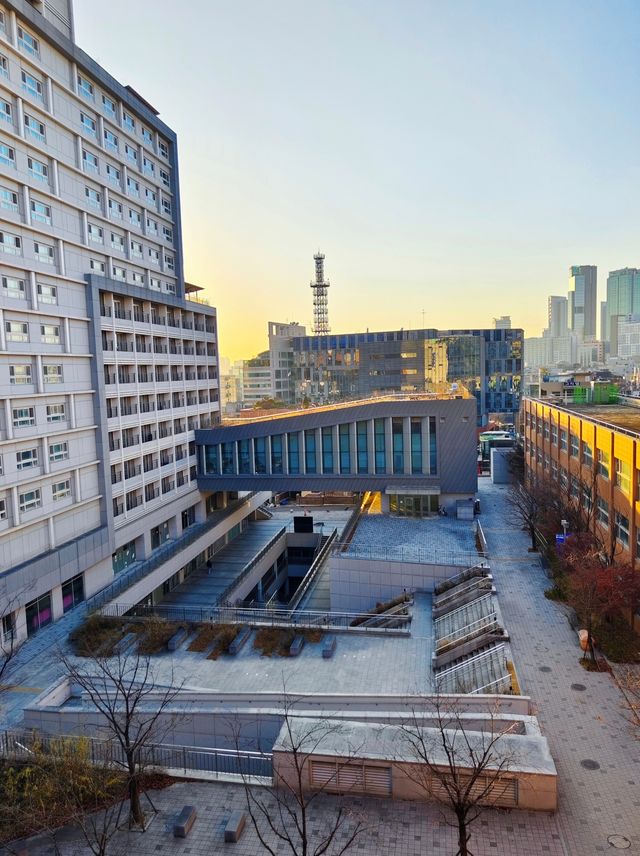 在弘益大學丨感受學府的藝術氣息