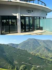 今日爆款！湖州慧心谷綠奢度假村