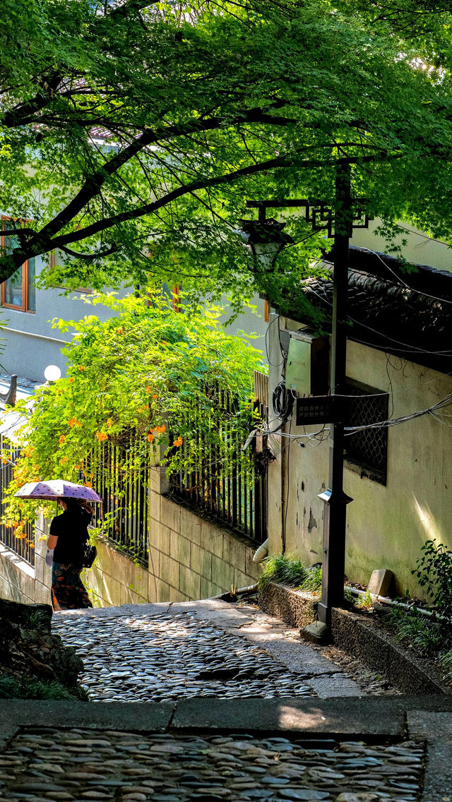 比起西湖，我更喜歡杭州這條小眾免費路線
