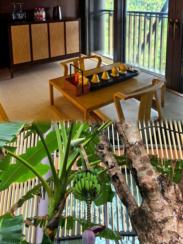 位於保亭山林中的巴厘島/小眾秘境酒店。