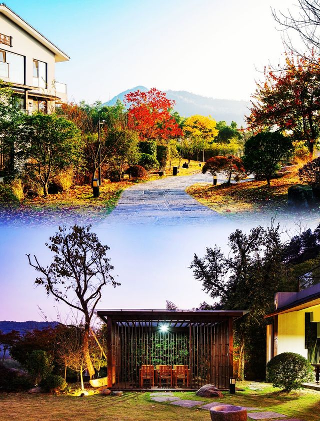 美上熱搜來莫干山赴一場田園詩般的旅行！