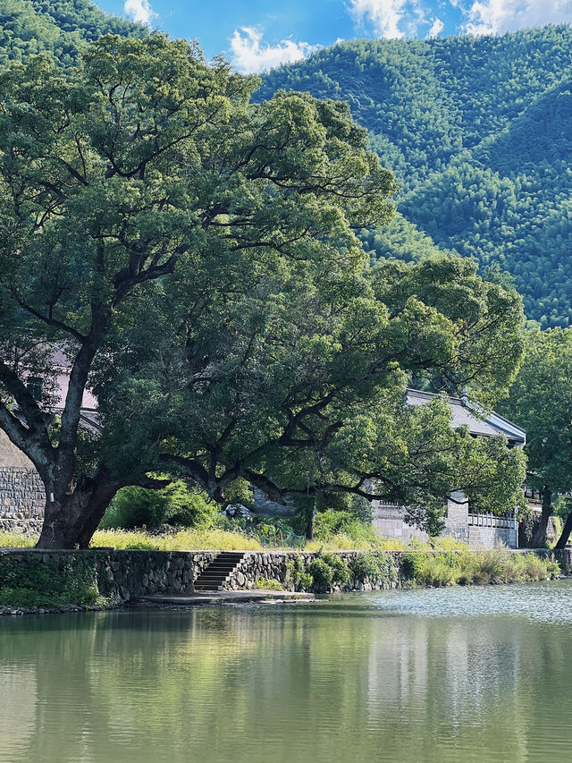 江浙沃周邊遊，溯溪玩水值得一去的避暑古村。