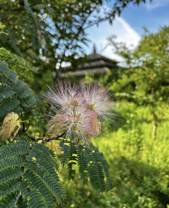 快來韓湘水博園感受這份獨特的古典美吧。