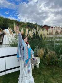 泸沽湖！入住了人生中的夢幻民宿！不想離開......